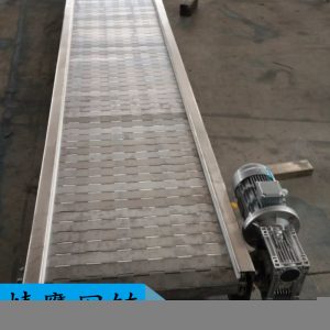 鏈板輸送機(jī)_廠(chǎng)家不銹鋼鏈板傳送機(jī)高溫烘干流水線(xiàn)隧道爐鏈板