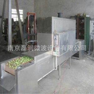 箱式干燥設備_隧道式微波滅菌烘干設備工業(yè)微波隧道爐隧道式烘箱
