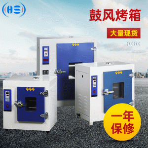 鼓風(fēng)烤箱烘干箱精密恒溫鼓風(fēng)干燥箱恒溫試驗箱工業(yè)烤箱