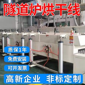 深圳定制隧道固化爐復合新材料隧道爐烘干線絲印隧道爐生產(chǎn)廠家
